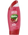 Radox Shower Gel Feel Ready 250ml x 6