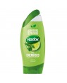 Radox Shower Gel Feel Energised (green) 250ml x 6