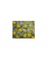 Lemonhead Original Bulk 27lb (12.26kg)